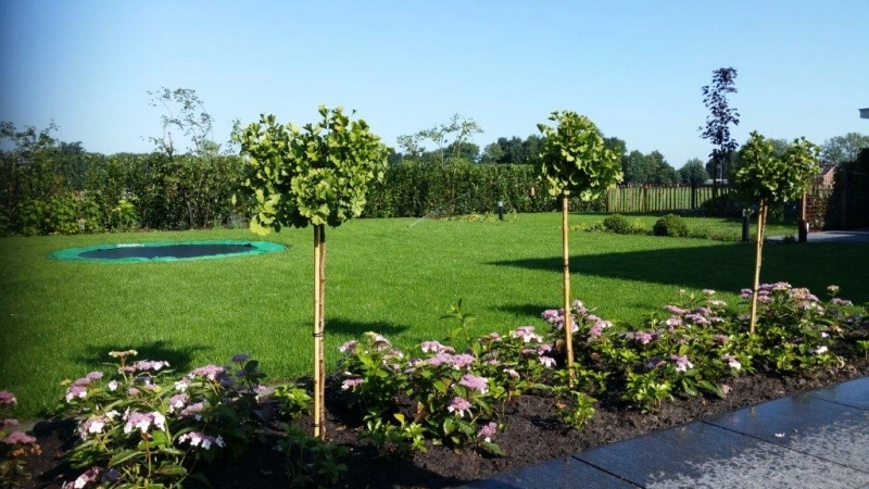 Kindvriendelijke tuin