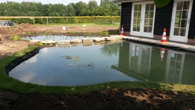 Natuurlijke zwemvijver