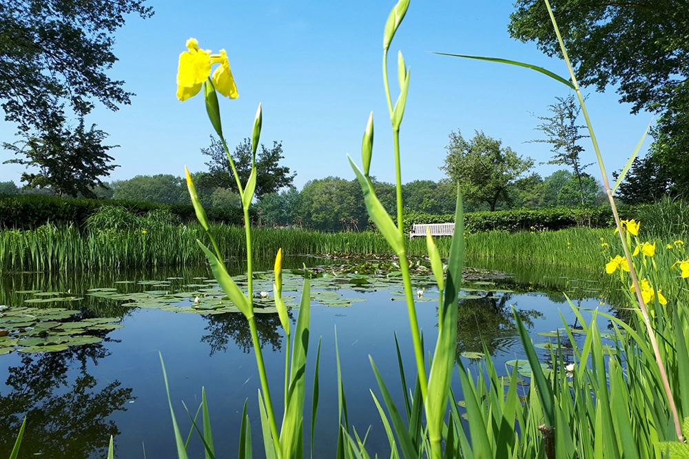 Volop groene pracht