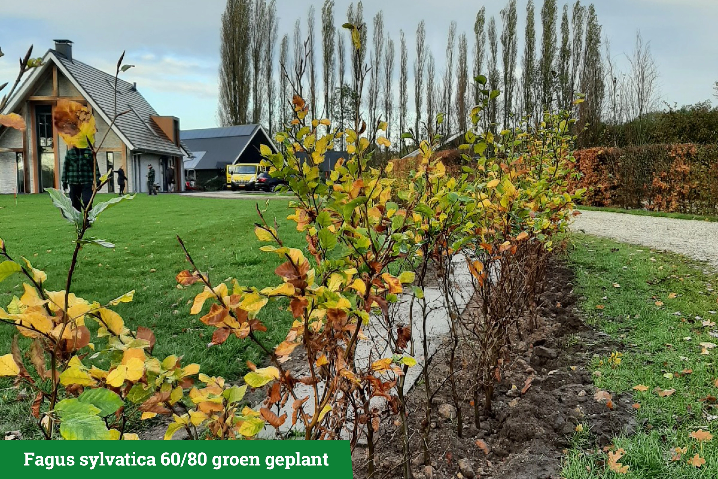 Aan de slag met beplanting bij de schuurwoning in Gaanderen