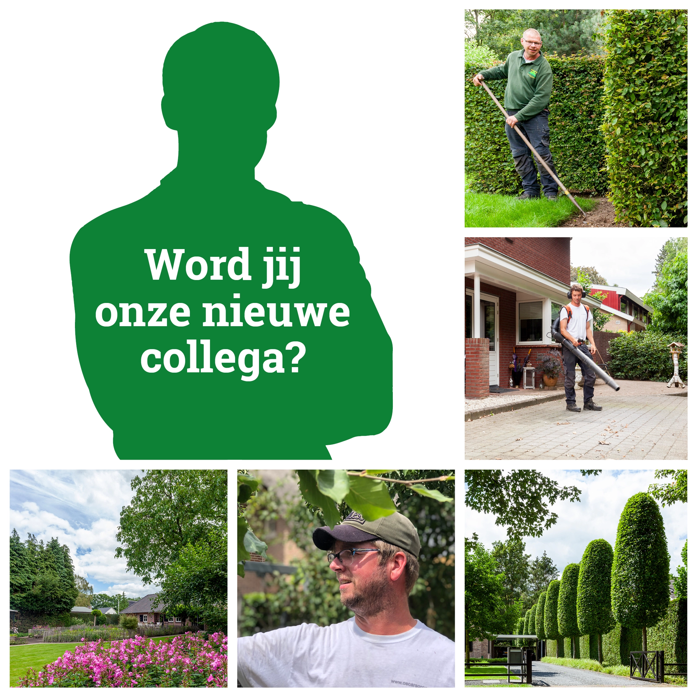 Oscar’s Groen zoekt een hovenier voor onderhoud met passie voor het vak