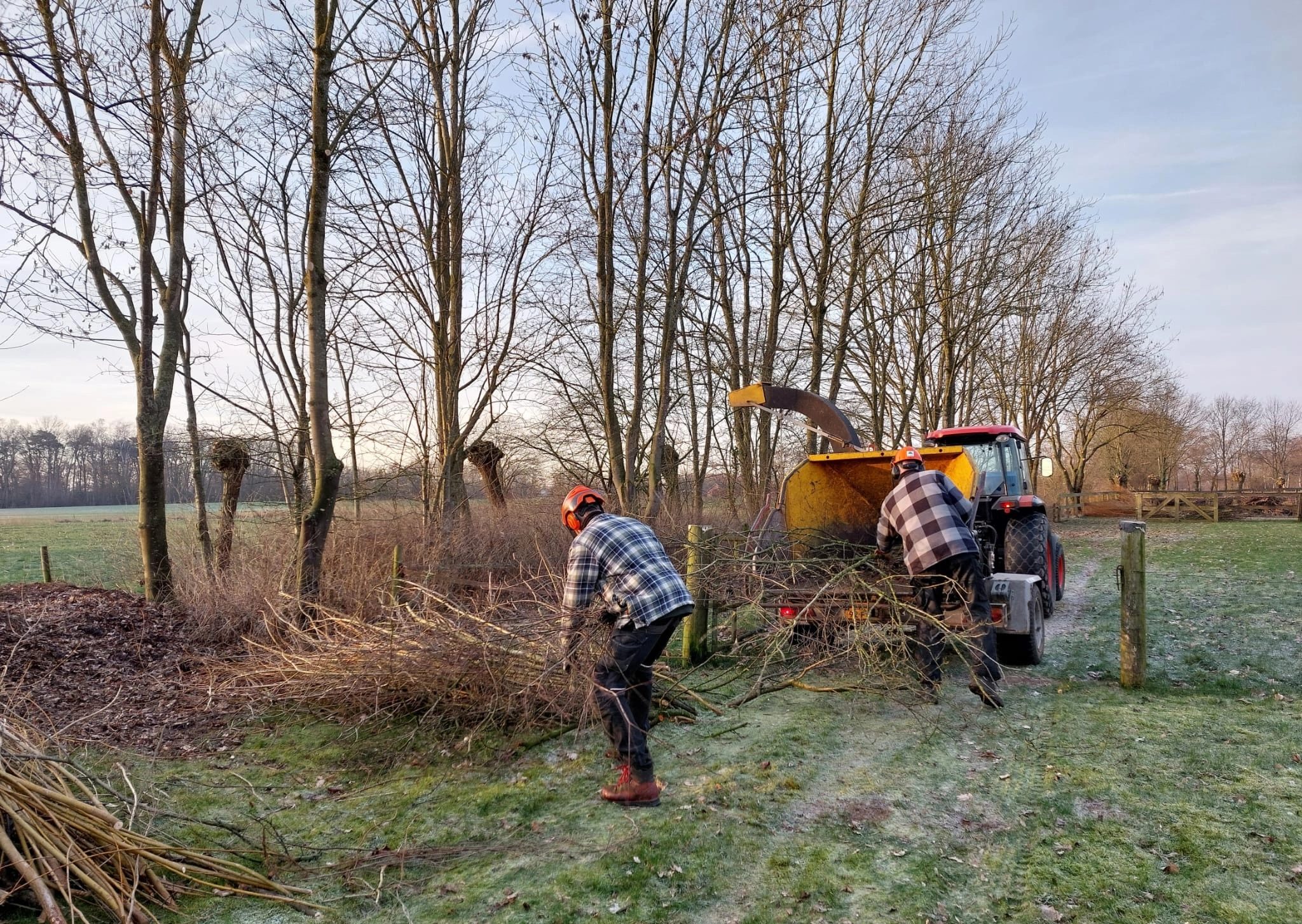 Snoeiwerk in de winter