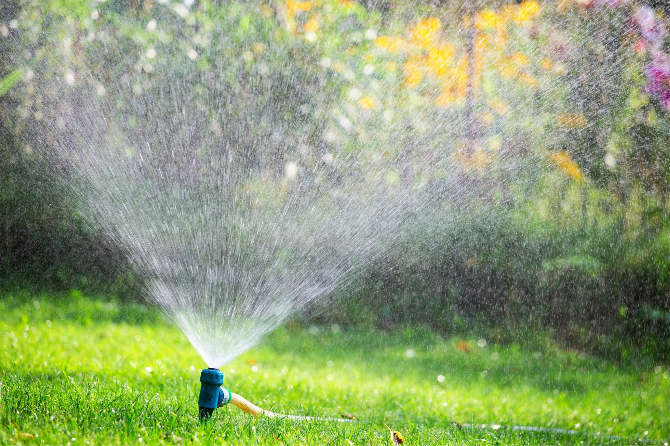 Hoe bewater ik mijn tuin het beste?