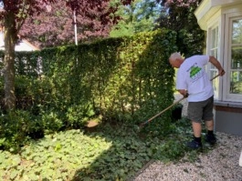 Tuinonderhoud in de zomer
