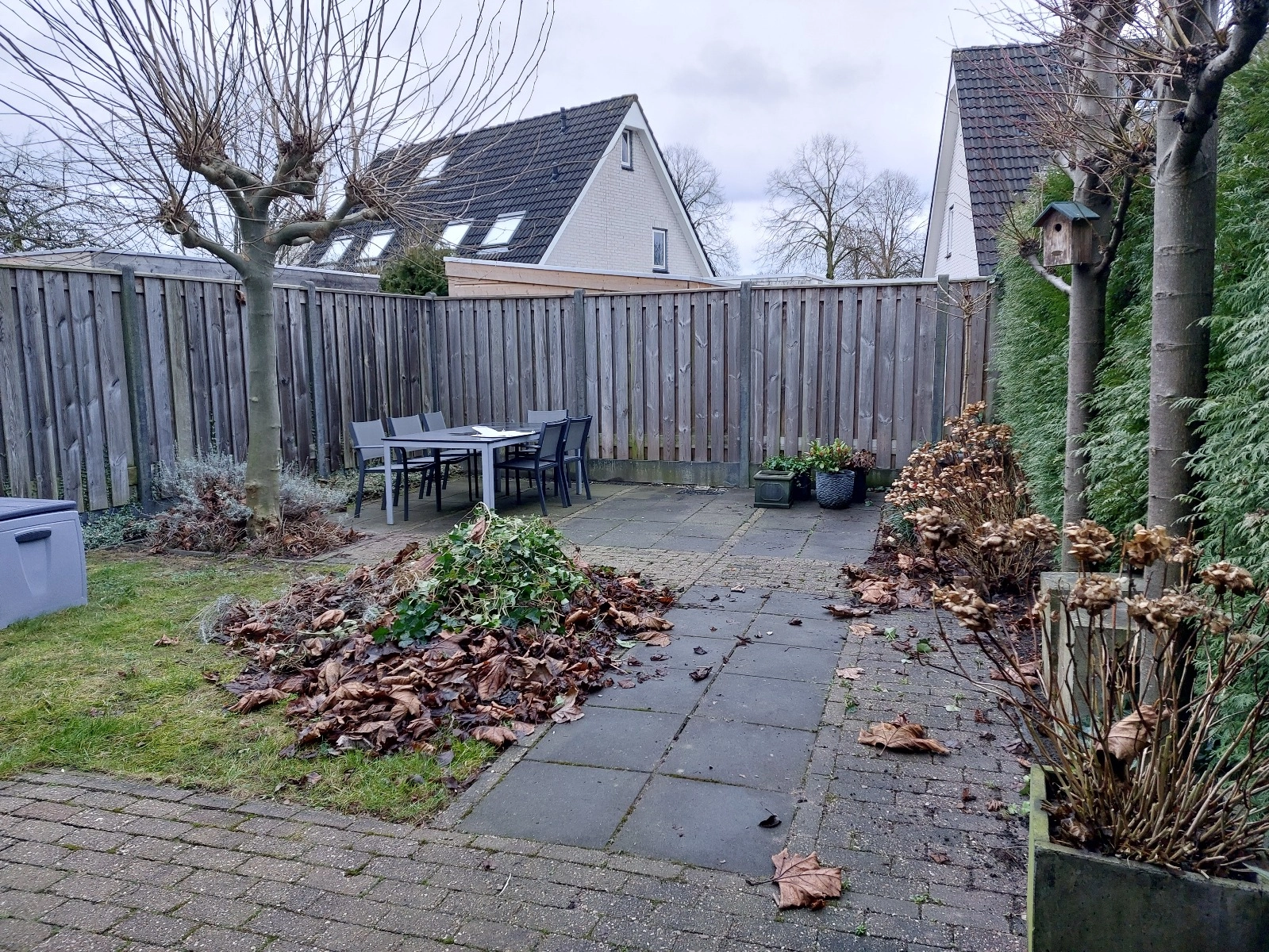 Oscar's Groen